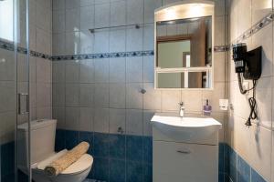 a bathroom with a toilet and a sink and a mirror at Anima Horizon-Petra Apartment in Elaiófiton +24 photos