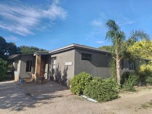 a house with a palm tree in front of it at Rusthof Accommodation in Gansbaai