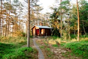 a small cabin in the middle of a forest at Gnista Glamping in Fäboda