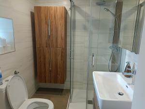 a bathroom with a toilet and a sink and a shower at Ferienhaus Strohmayer in Schweiggers +11 photos