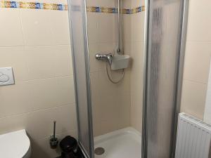 a shower with a glass door in a bathroom at Ostsee Radlerpension Peitz in Peitz +26 photos