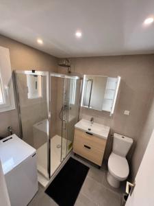a bathroom with a shower and a toilet and a sink at appartement T2 climatisé proche centre et plage in Cavalaire-sur-Mer