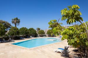 a swimming pool with lounge chairs and trees at Seafront Penthouse in El Medano in El Médano +27 photos