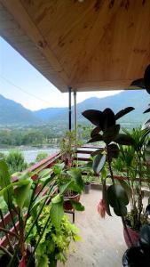 a group of potted plants sitting under a roof at Falak Stays in Shamshi