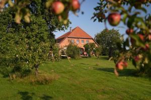 a house in a field with an apple tree at Landperle klein und fein in Altenhof