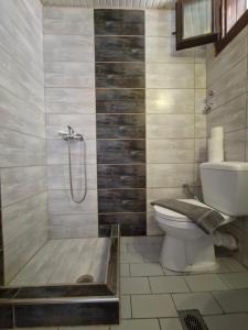 a bathroom with a shower and a toilet and a tub at Pension Assos in Koinyra