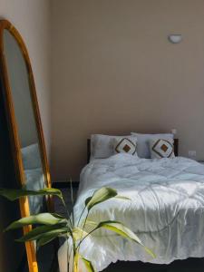 a bedroom with a bed with a mirror and a plant at Rocky Apartment Zanzibar in Zanzibar City