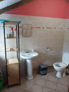 a bathroom with a sink and a toilet at Le Paradis in Capesterre-Belle-Eau +5 photos
