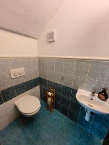 a bathroom with a toilet and a sink at Apartment J&D in Dunajská Streda +17 photos