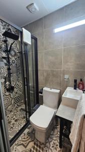 a bathroom with a toilet and a shower and a sink at Konak 83 in Nicosia