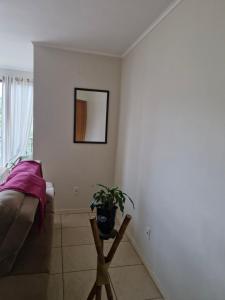 a white room with a chair and a plant at 1 dorm aconchegante em apto compartilhado com a moradora in Santa Rosa
