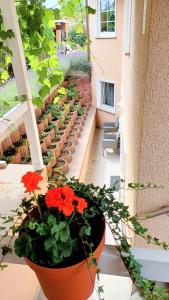 a balcony with flowers in a pot on a building at Ferienwohnung Maria in Hörnsheim