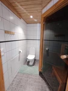 a bathroom with a toilet and a glass door at Villa Goahti - Kantokelo in Ylläsjärvi +17 photos