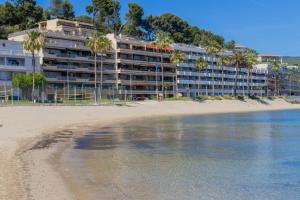 a hotel on the beach with palm trees at Duplex de Bandol - Plages et port à pied in Bandol +24 photos