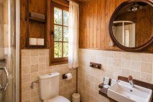a bathroom with a toilet and a sink and a mirror at Apartamentos El Guardaviñas in Ábalos +137 photos