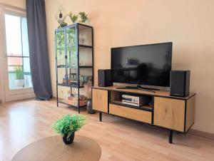 a living room with a flat screen tv on a entertainment center at MeLou FeWo NaturQuartier Wellness in Bad Lauterberg