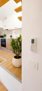 a kitchen with white cabinets and a plant in a pot at Valora Central Apartment in Vrhnika