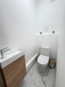 a white bathroom with a toilet and a sink at Apartment with sauna and fireplace in Viitna