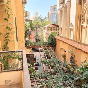 an alley with plants growing on the side of a building at Sunny airport studio New Cairo in Cairo