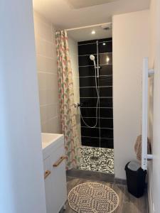 a bathroom with a shower with a shower curtain at Appart Résidence Yadah RDC in Granville