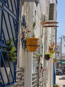 a group of potted plants on the side of a building at Antique seaside appartement in Mahdia