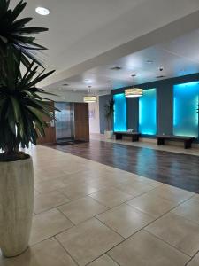 a potted plant in a lobby with blue lights at Domain at Kirby in Houston