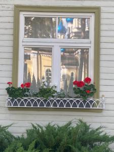 a window with red flowers in a window box at Baltic Beach Villa I in Jūrmala