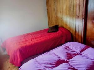 two beds sitting next to each other in a room at Alojamiento FARAH in Caviahue