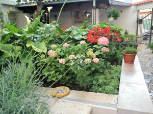 Vonkajšia záhrada v ubytovaní Guesthouse Kresic