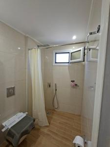 a small bathroom with a shower and a window at Elia Studios 2 in Nydri +29 photos