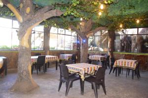 a dining room with tables and chairs and trees at Hostal Restaurant TOROTORO in Torotoro