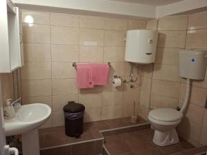 a bathroom with a toilet and a sink at Apartman Pavle 2 in Virpazar