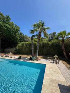 a swimming pool with palm trees in a yard at Le Rêve Ocre in Toulon