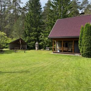 a cabin in a field with a large yard at Namelis Bitidė, sodyba Latkrantė, Druskininkai in Latežeris