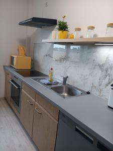a kitchen with a sink and a counter top at Zum Graureiher in Heringsdorf +7 photos
