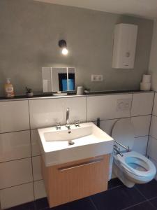a bathroom with a sink and a toilet at Ferienhaus an der Felsenkirche in Idar-Oberstein