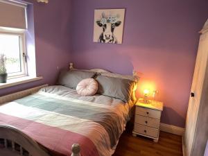a bedroom with a bed with a cow picture on the wall at Butterfly cottage in Belmullet