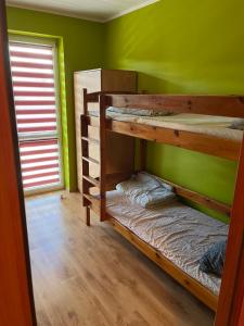 zwei Etagenbetten in einem Zimmer mit einer grünen Wand in der Unterkunft Arkadiusz in Tarnobrzeg