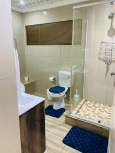 ein Badezimmer mit Toilette und Glasdusche in der Unterkunft Comfy Nest Guest House in Durban