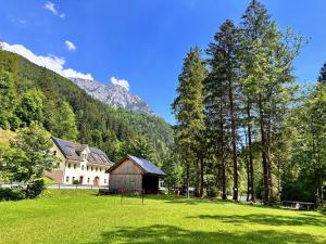 a house in a field with a mountain in the background at Farmhouse Štiftar in Solčava