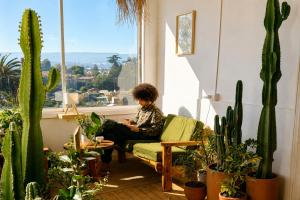 a woman sitting in a chair in a room with cactus at Silvestre Hostel in Pichilemu