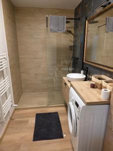 a bathroom with a shower with a sink and a washing machine at Central Urban Studio with Underground Parking in Târgu-Mureş +26 photos