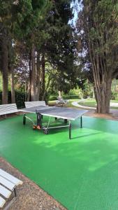 a ping pong table on a green floor with two benches at CANNES La Mirandole in Golfe-Juan +3 photos