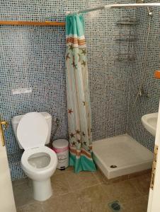 a bathroom with a toilet and a shower at Avraam Apartment Polychrono in Polychrono +16 photos