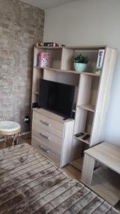 a living room with a entertainment center with a tv at Napsugár Nyaraló in Tiszaalpár