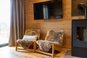 a living room with two chairs and a tv at Bayerwald Chalet Liebenstein in Bad Koetzting