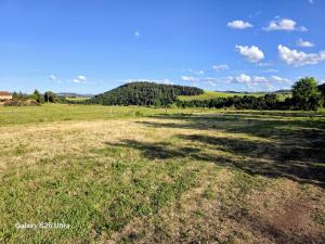 a field of grass with a hill in the background at Les Dômes du Ceyssoux in Le Brignon