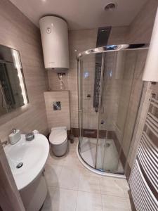 ein Badezimmer mit Dusche, Toilette und Waschbecken in der Unterkunft 2 Lipy Jura in Kostkowice + 26 Fotos