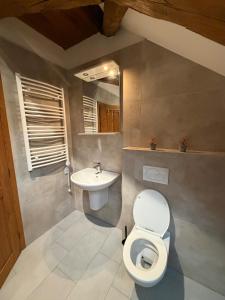 a bathroom with a toilet and a sink at Timber City Loft in Slezská Ostrava