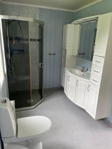 a bathroom with a shower and a toilet and a sink at Feriehus Lærdal in Æri